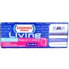 Domopak Living Custodia Maglie e Camicie 31x43 cm Set 9 Pezzi con Chiusura Lampoclick